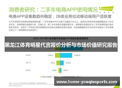 黑龙江体育明星代言报价分析与市场价值研究报告