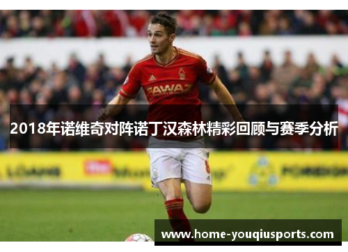 2018年诺维奇对阵诺丁汉森林精彩回顾与赛季分析